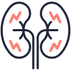 crystals in kidneys icon