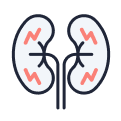 Gout and kidney disease icon